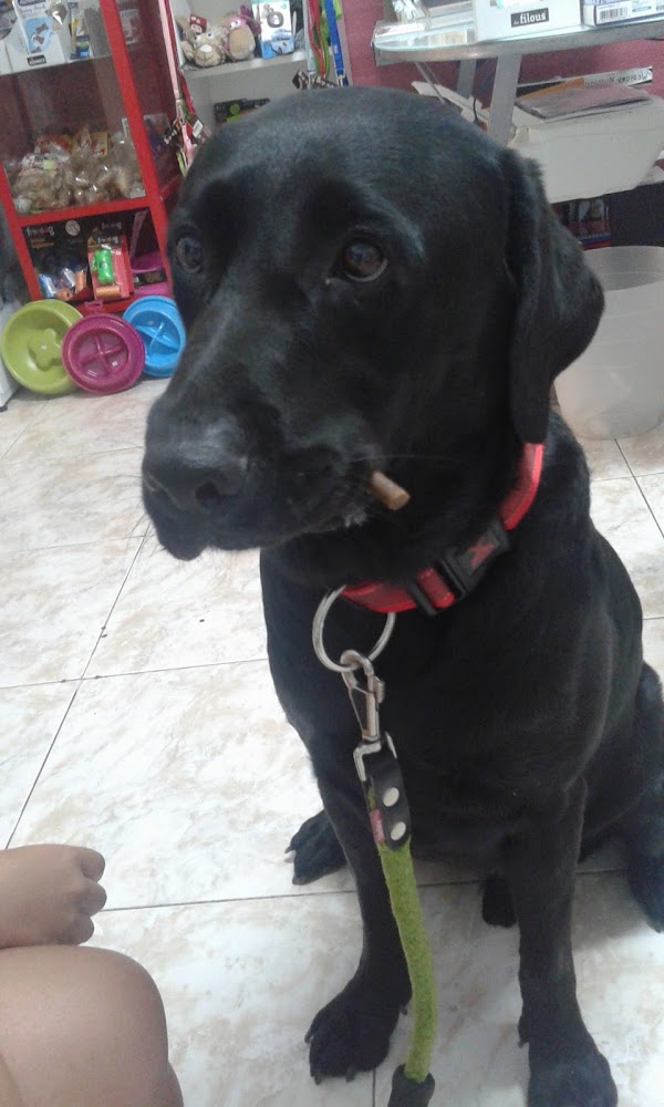 Imagen de Centro Veterinario El Rosario - Radazul Bajo (2 de 5)