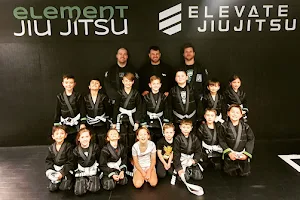 Element Martial Arts & Fitness | ADELAIDE | JIU JITSU, MMA, SELF DEFENCE, WRESTLING, BOXING image