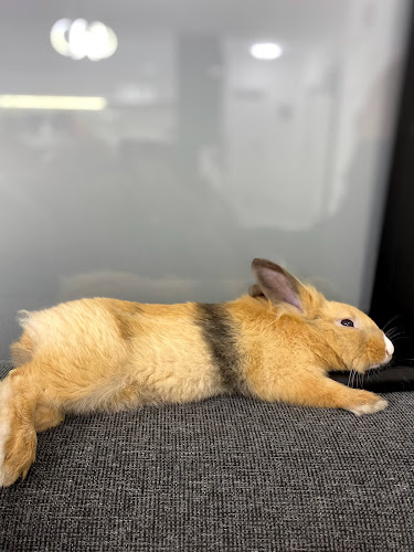 ΚΤΗΝΙΑΤΡΙΚΟ ΚΕΝΤΡΟ ΤΡΙΑΝΔΡΙΑΣ Γ.ΧΡΗΣΤΟΥ