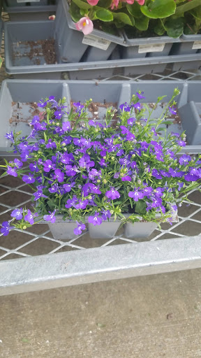 Home Improvement Store «The Home Depot», reviews and photos, 37 Ellisville Towne Centre Dr, Ellisville, MO 63011, USA