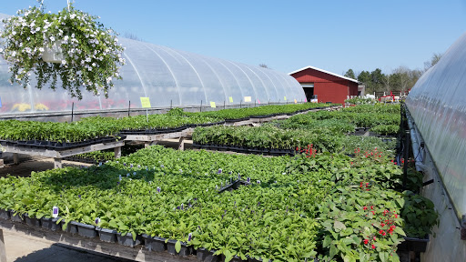Saenz Farm & Greenhouses