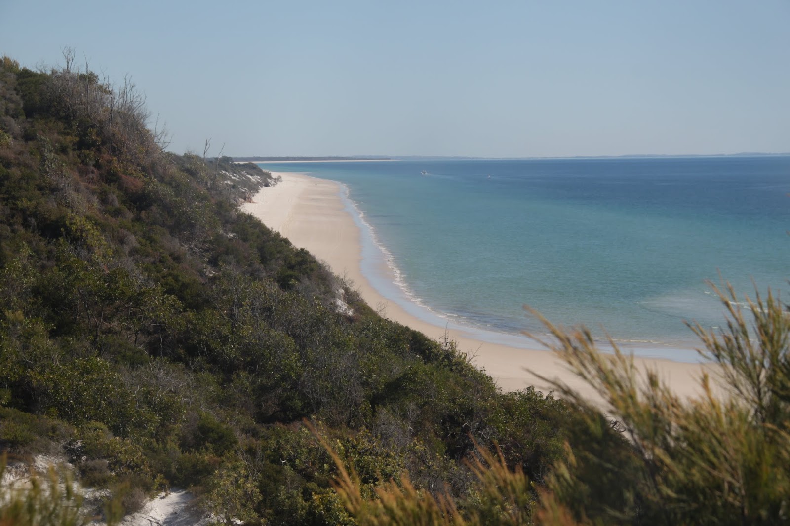 Photo de Bowarrady Creek Beach situé dans une zone naturelle