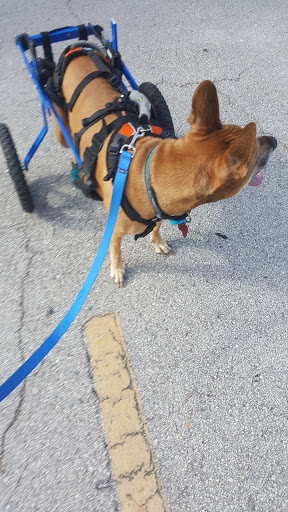 Park «Metropolitan Park», reviews and photos, 1410 Gator Bowl Blvd, Jacksonville, FL 32202, USA