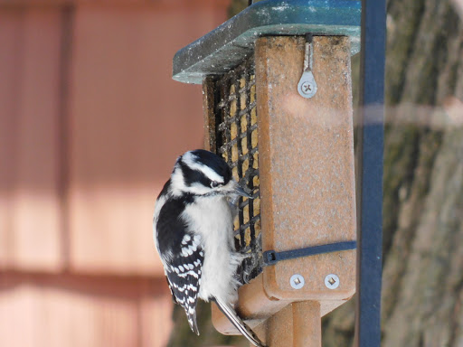 Park «Nature Center At Shaker Lakes», reviews and photos, 2600 S Park Blvd, Cleveland, OH 44120, USA