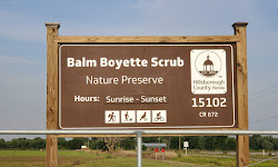 Balm Boyette Scrub Preserve
