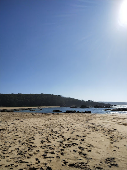 Mystery Bay Excavations