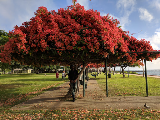 Parks in Honolulu