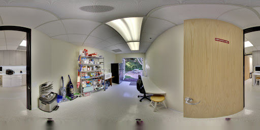 Clinique Sculpture William J. Seare MD image