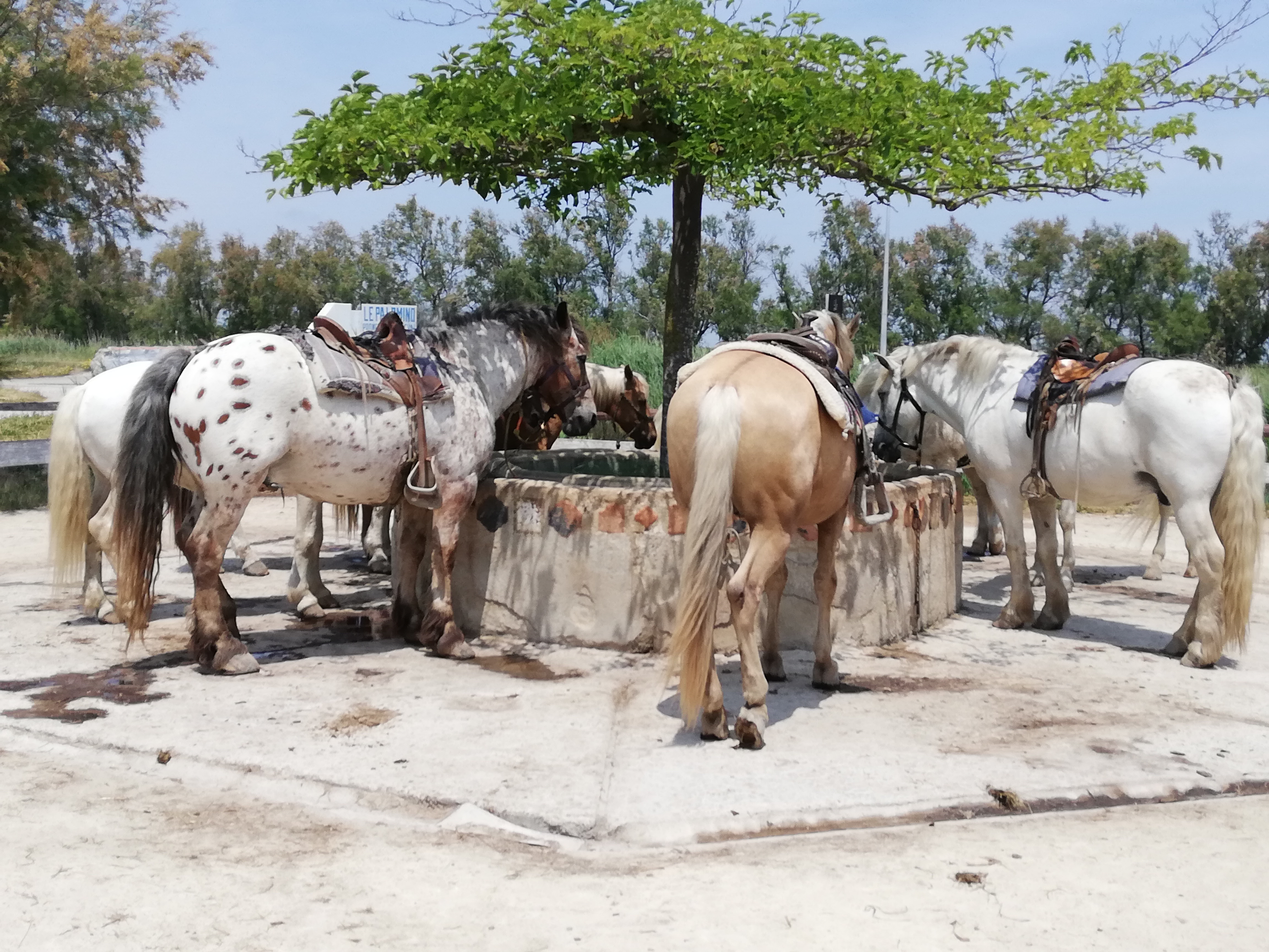 Photo n° 1 de l'avis de sebastiano.a fait le 03/06/2019 à 16:07