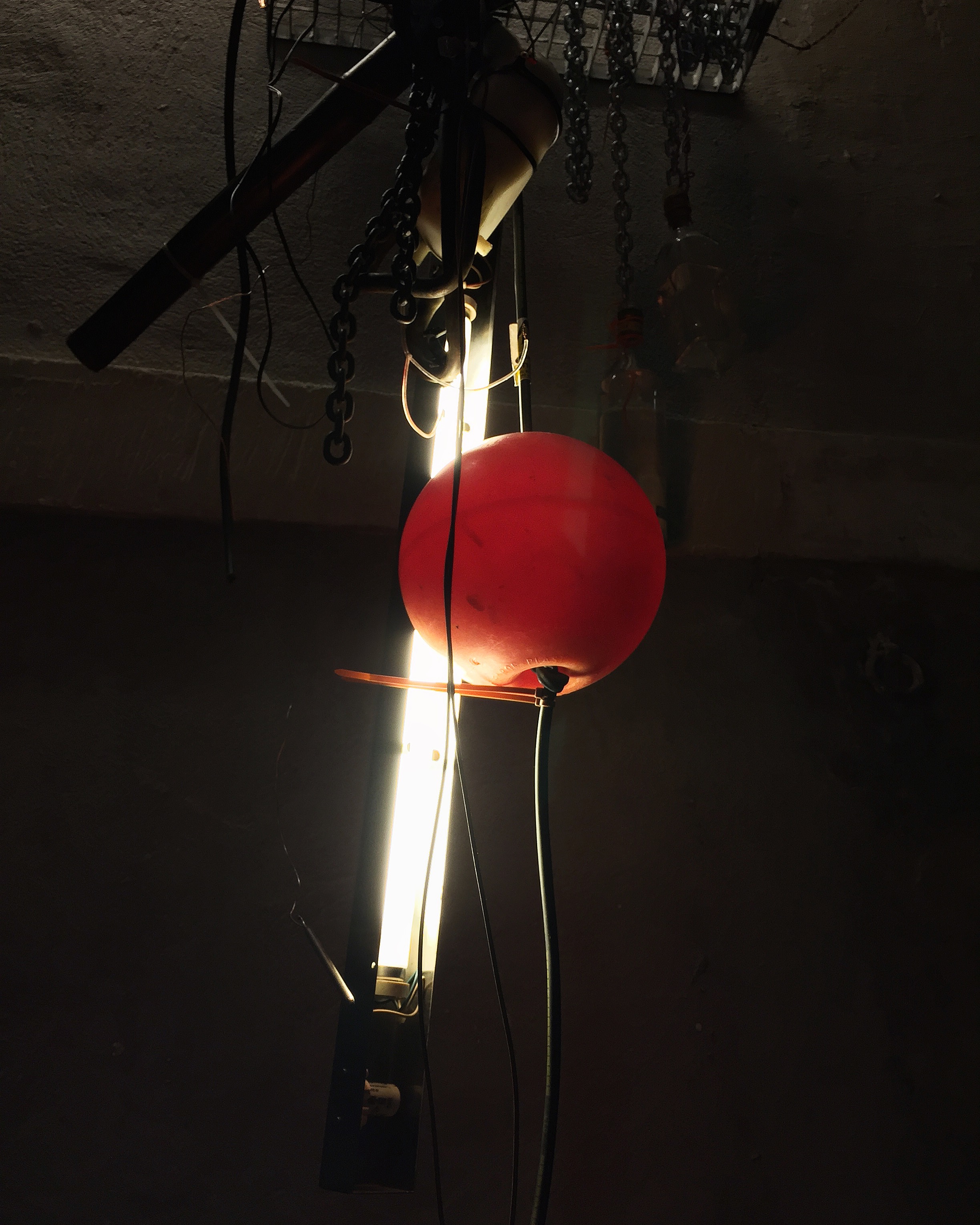 Photo n° 31 de l'avis de Gael.a fait le 09/01/2018 à 02:02