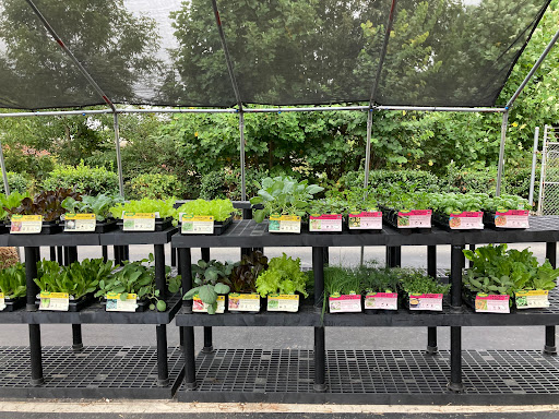 Hardware Store «Waxhaw Ace Hardware», reviews and photos, 3927 Providence Rd S, Waxhaw, NC 28173, USA