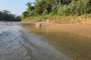 Indigenous Territory and Isiboro Secure National Park image