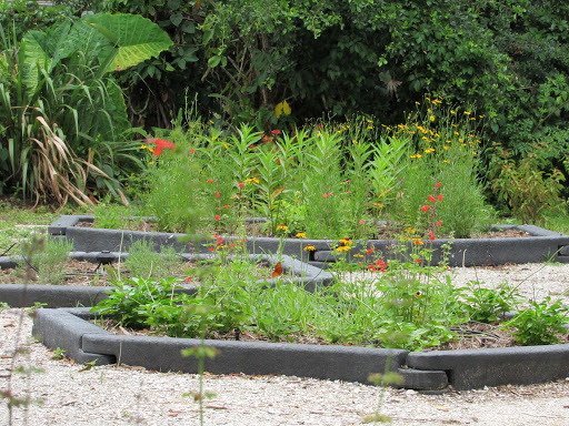 Park «Hammock Park», reviews and photos, 1945 San Mateo Dr, Dunedin, FL 34698, USA