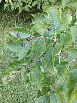 Ed Tallard Conservancy - photo 39