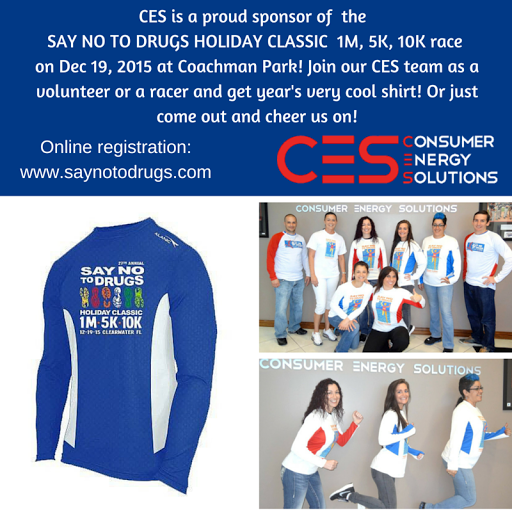 Consumer Energy Solutions Inc, 1255 Cleveland St, Clearwater, FL 33755, Electric Utility Company