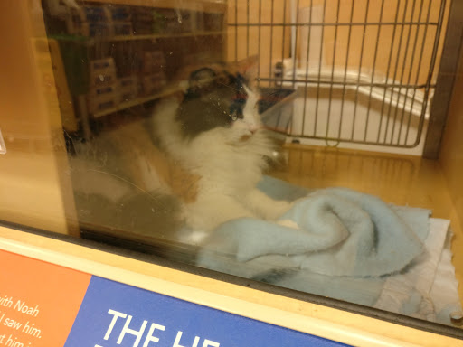 Pet Supply Store «PetSmart», reviews and photos, 1225 Industrial Rd, San Carlos, CA 94070, USA