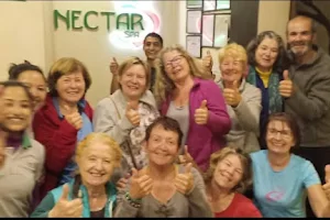 Nectar Spa image