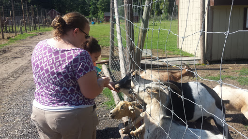 Bedford Veterinary Clinic image