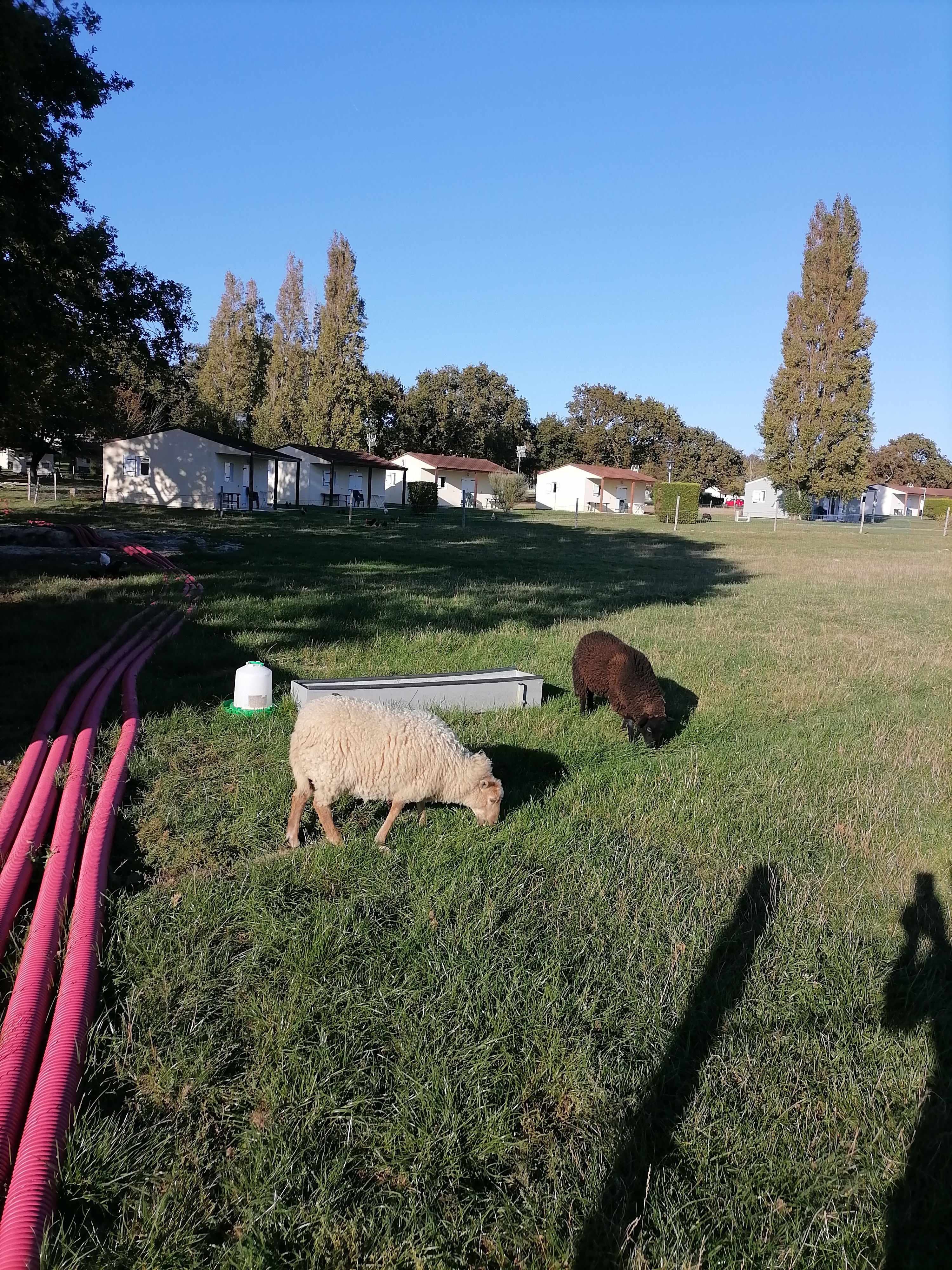 Photo n° 2 de l'avis de Havhia.i fait le 01/10/2023 à 15:53