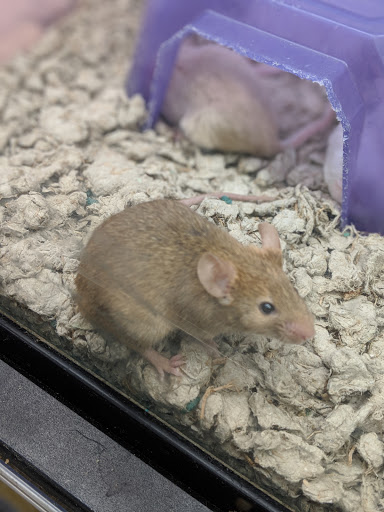 Pet Supply Store «Petco Animal Supplies», reviews and photos, 2005 Dr Martin Luther King Jr Pkwy, Chico, CA 95928, USA