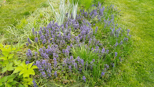 Historical Place «Morris-Jumel Mansion», reviews and photos, 65 Jumel Terrace, New York, NY 10032, USA