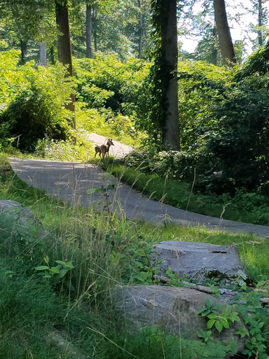 Golf Course «The Golf Course at Glen Mills», reviews and photos, 221 Glen Mills Rd, Glen Mills, PA 19342, USA