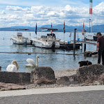 Photo n°2 de l'avis de patrick.e fait le 05/05/2024 à 20:39 sur le  Ristorante I Due Alfieri à Cisano