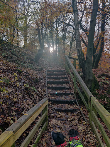 Comments and reviews of Greenhall Park