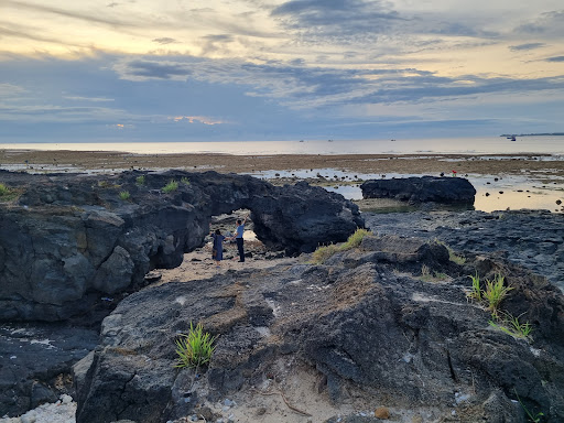 Top 20 cửa hàng akemi Huyện Lý Sơn Quảng Ngãi 2022