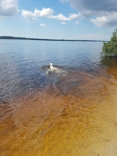 Nature Preserve «Mobbly Bayou Wilderness Preserve», reviews and photos, 423 Lafayette Blvd, Oldsmar, FL 34677, USA