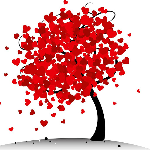 Charity «The RAK (Random Act Of Kindness) Warehouse / Store», reviews and photos, 701 Jefferson Ave SW, Watertown, MN 55388, USA