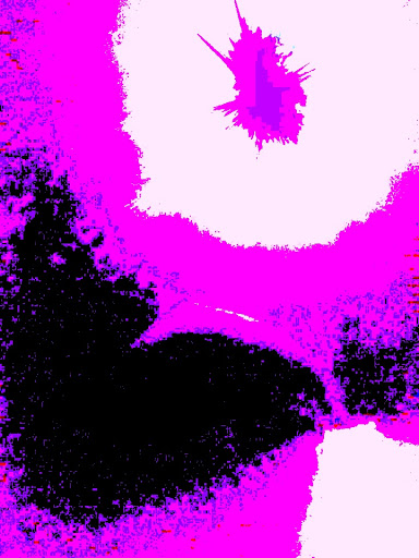 Community Center «Seventh Day Adventist COMM Center», reviews and photos, 1320 N 15th St, Phoenix, AZ 85006, USA