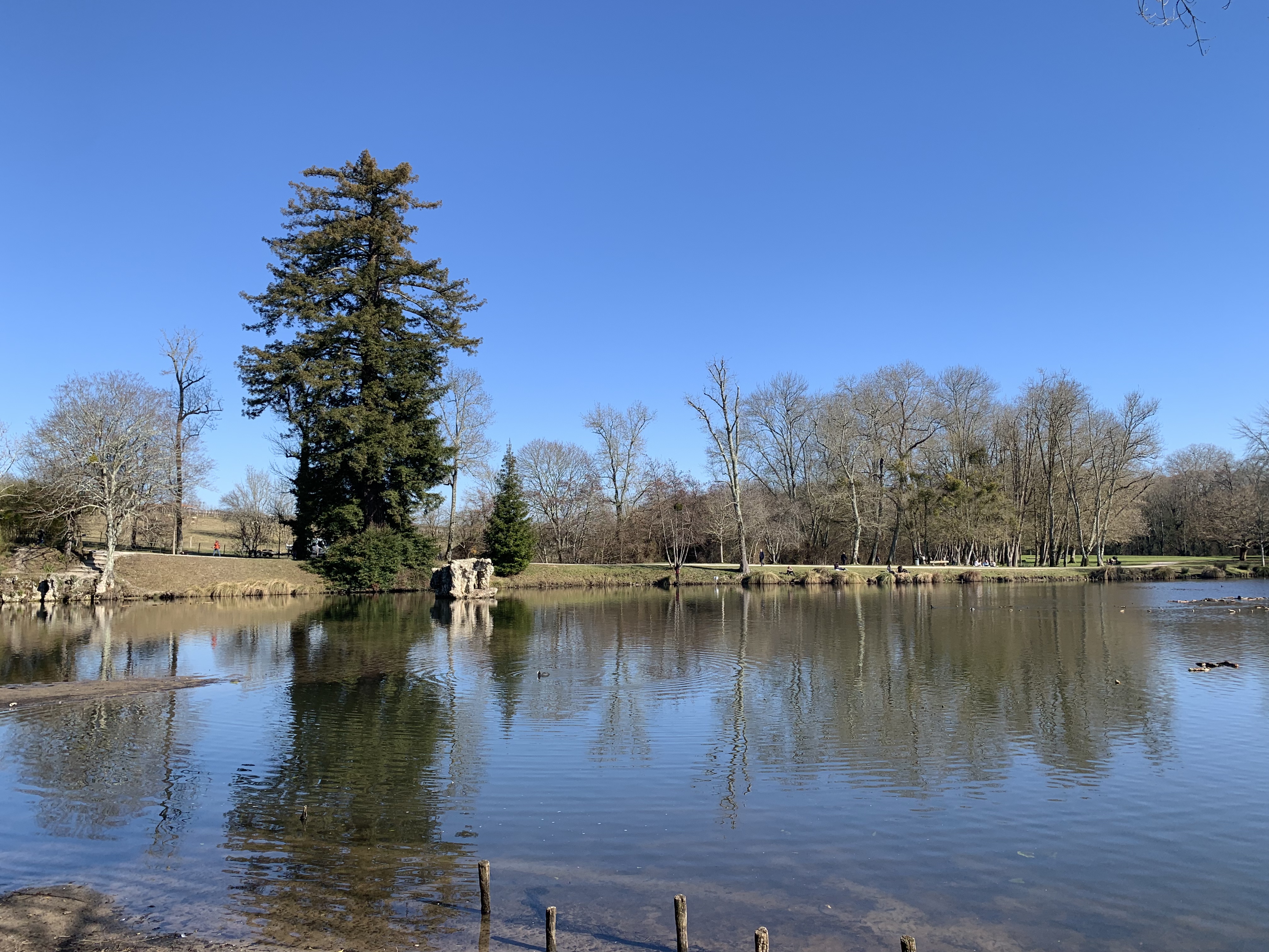 Photo n° 23 de l'avis de Esteban.R fait le 13/02/2023 à 17:04