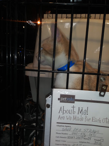 Pet Supply Store «Pet Valu», reviews and photos, 3437 Center Rd, Brunswick, OH 44212, USA