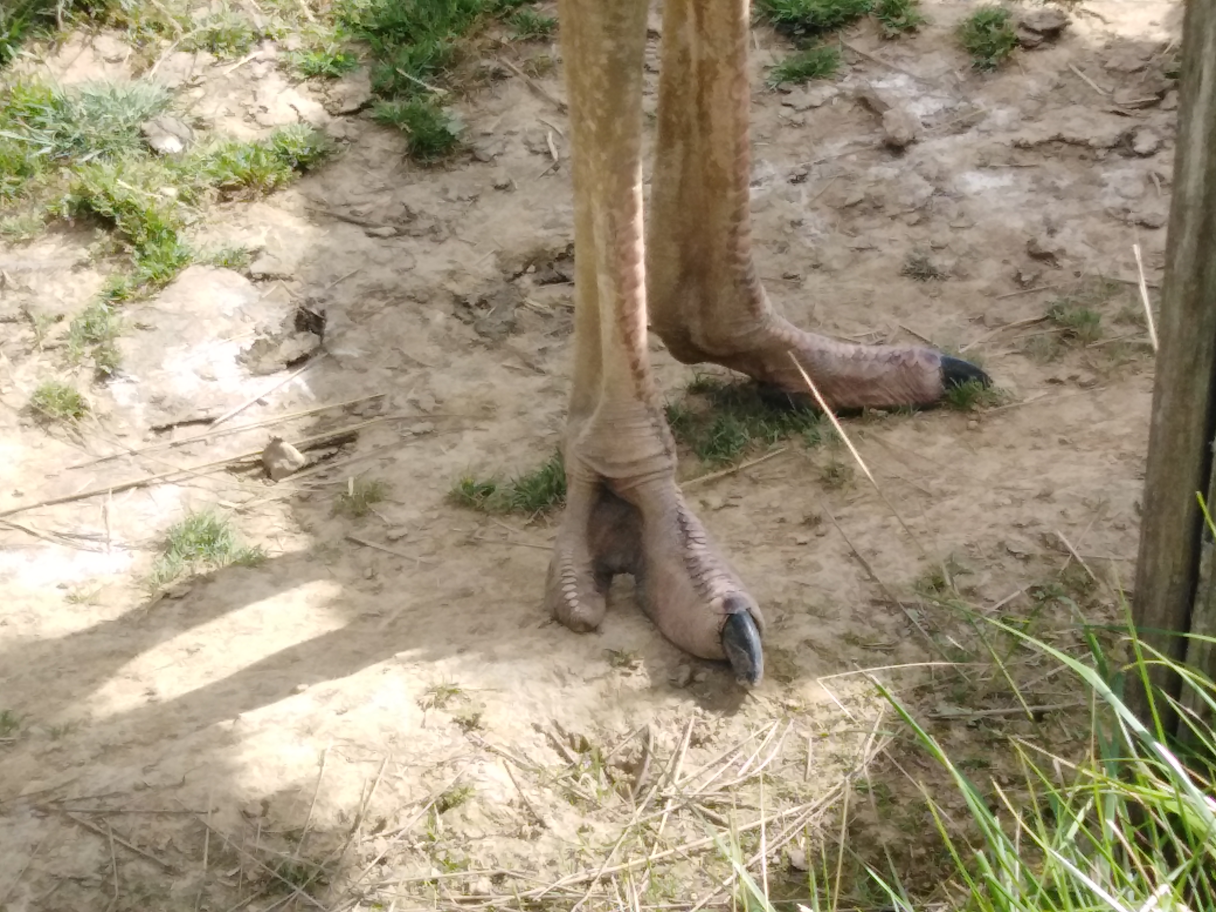 Photo n° 2 de l'avis de Isa.9 fait le 30/07/2021 à 05:26