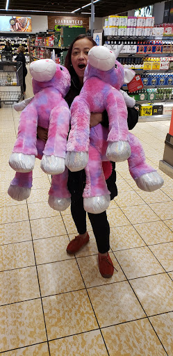 Supermarket «ALDI», reviews and photos, 1345 W North Ave, Melrose Park, IL 60160, USA