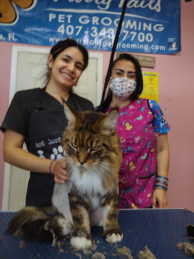 Pet Groomer «Furry Tails Pet Grooming», reviews and photos, 865 Cypress Pkwy, Poinciana, FL 34759, USA