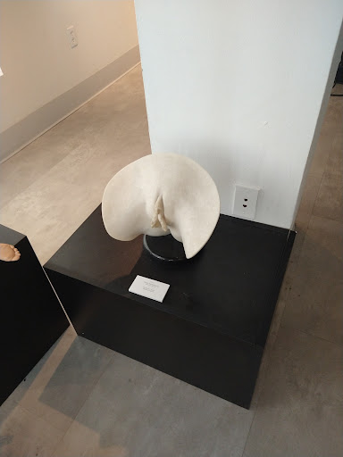 Art Museum «World Erotic Art Museum», reviews and photos, 1205 Washington Ave, Miami Beach, FL 33139, USA