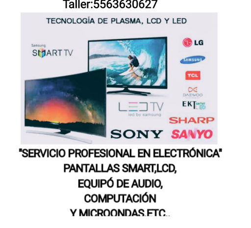 Servicio Profesional en Electrónica