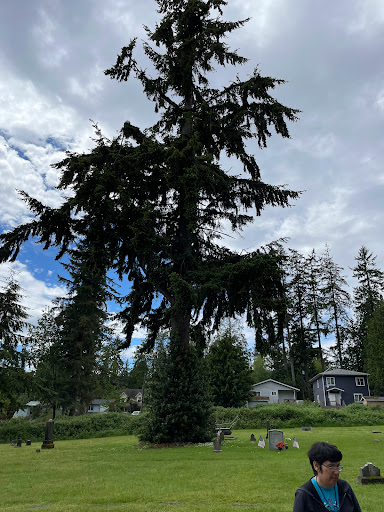 Museum «Suquamish Museum», reviews and photos, 6861 NE South St, Suquamish, WA 98392, USA