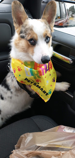 Pet Supply Store «PetSmart», reviews and photos, 248 Westminster Dr, Carlisle, PA 17013, USA