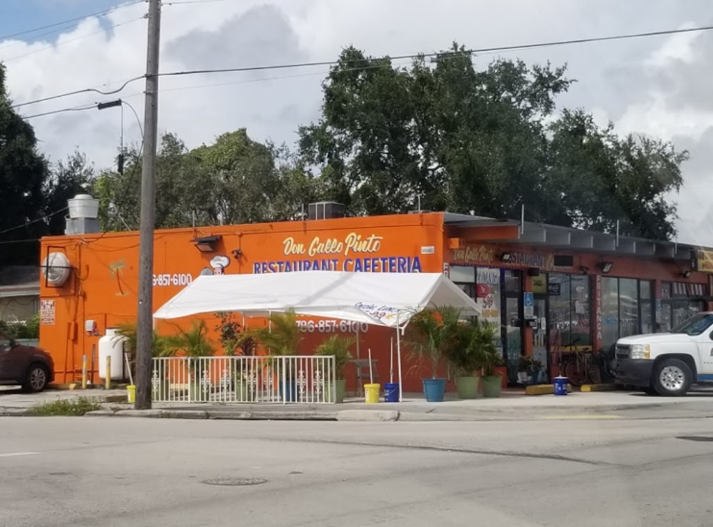 Don Gallo Pinto 33142