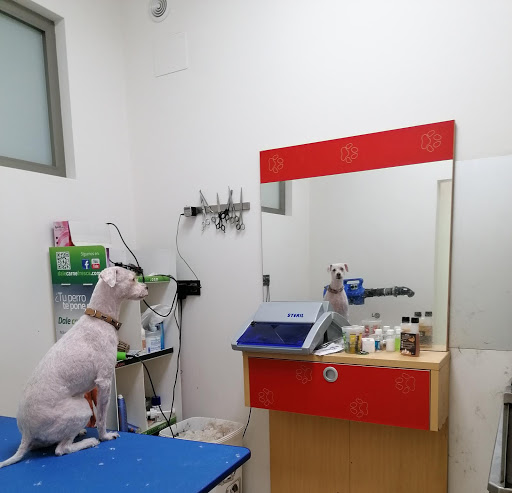 Clínica Veterinaria La Torre Torredelcampo en Torredelcampo