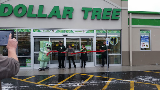 Dollar Store «Dollar Tree», reviews and photos, 383 Allen St, Springfield, MA 01118, USA