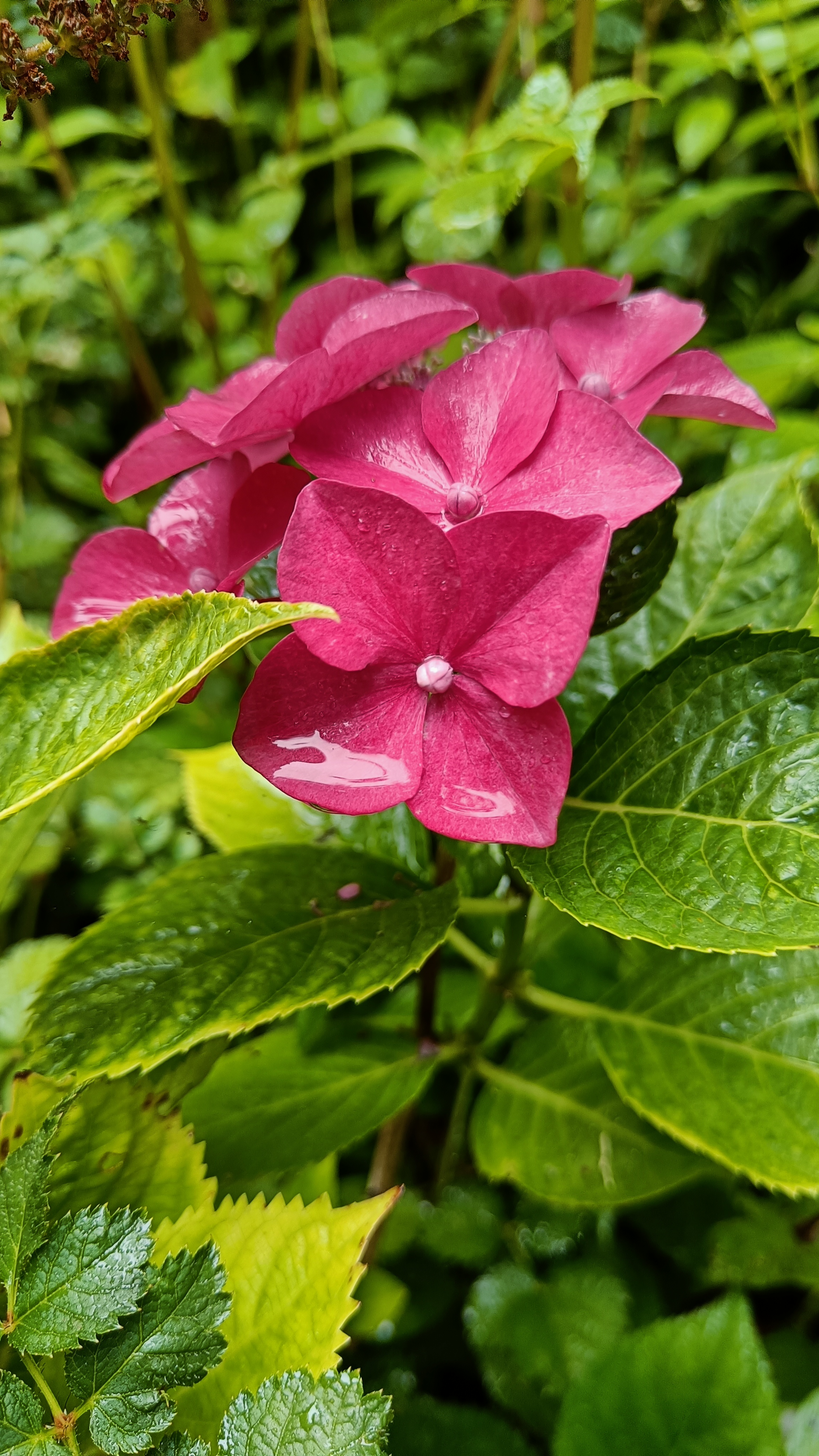 Photo n° 43 de l'avis de Eliot.o fait le 28/07/2023 à 16:35