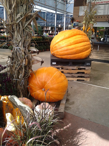 Florist «Metropolitan Plant & Flower Exchange Inc.», reviews and photos, 2125 Fletcher Ave, Fort Lee, NJ 07024, USA