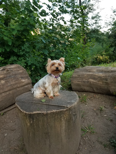 National Park «Hamilton Grange National Memorial», reviews and photos, 414 W 141st St, New York, NY 10031, USA