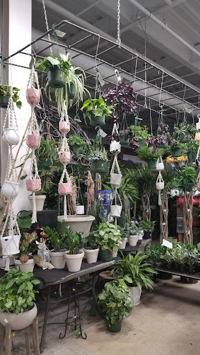 Florist «Metropolitan Plant & Flower Exchange Inc.», reviews and photos, 2125 Fletcher Ave, Fort Lee, NJ 07024, USA