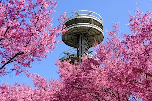 New York State Pavilion Observation Towers image