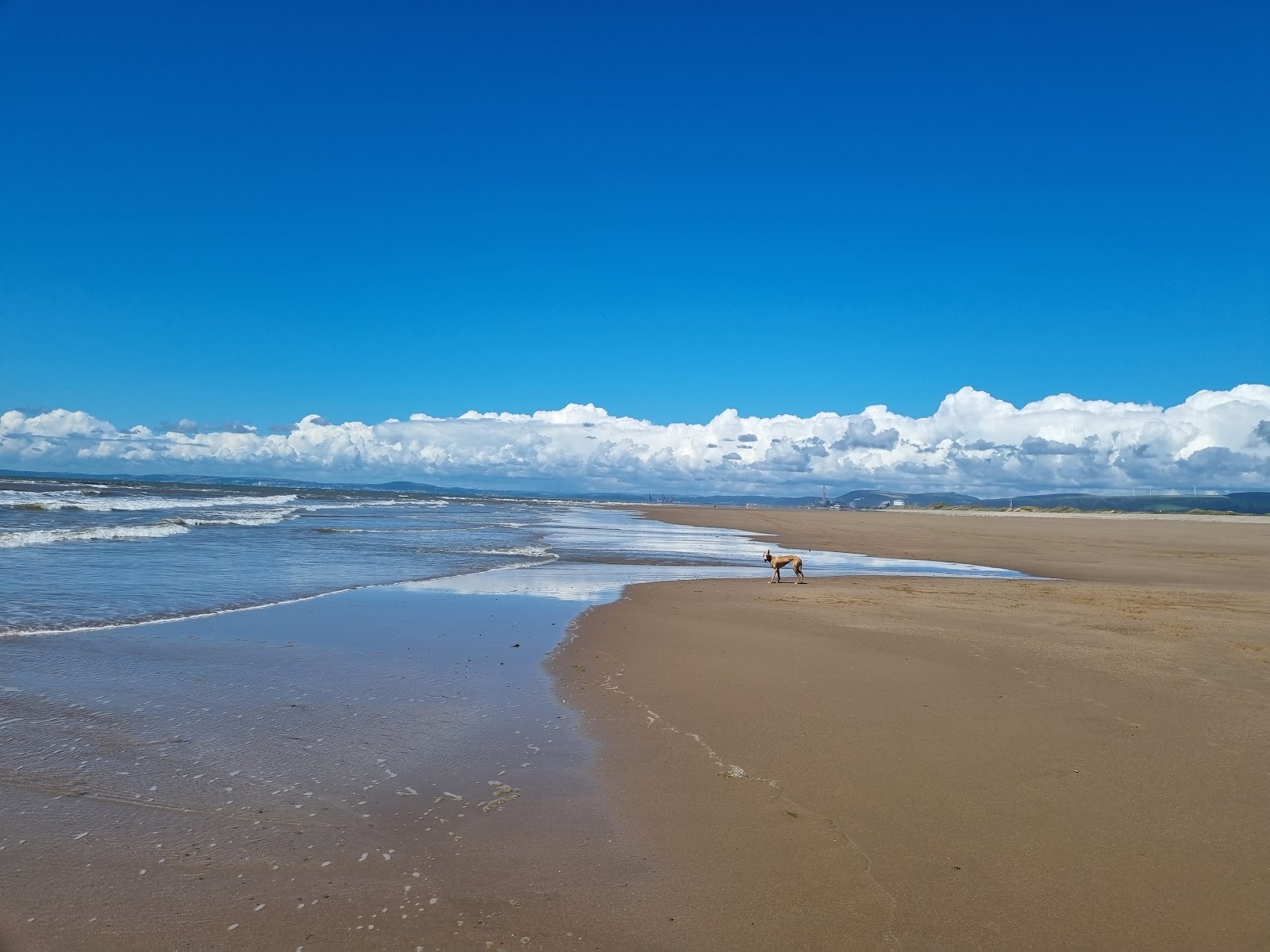 Φωτογραφία του Παραλία Σκερ με γκρίζα άμμος και βότσαλο επιφάνεια